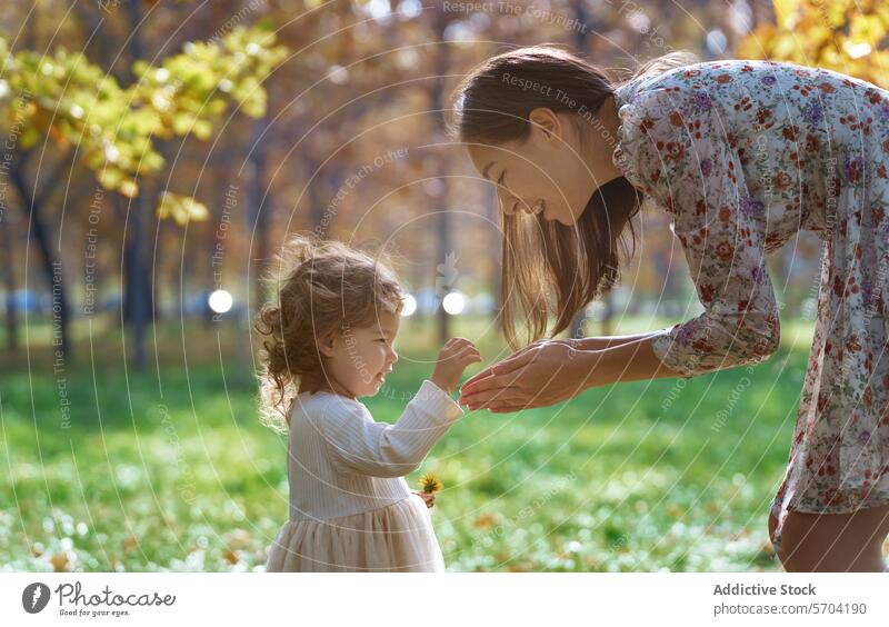 Ethnic mother and daughter bonding in nature park california usa ethnic tenderness love family outdoor autumn trees leaves sunlight female child woman girl