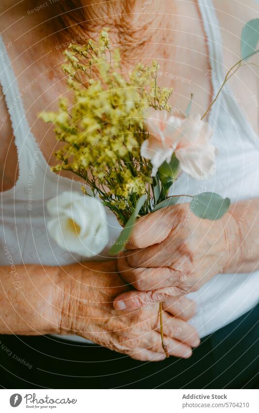 Elderly hands with flowers in a tender embrace elderly bouquet close-up touch gentle senior woman aged wrinkled skin care affection love beauty feminine