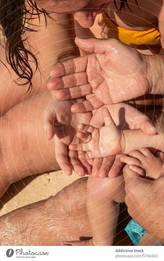 Family hands together in a warm embrace family close-up unity love water droplets sunlight connection touch bonding detail texture wet care support relationship