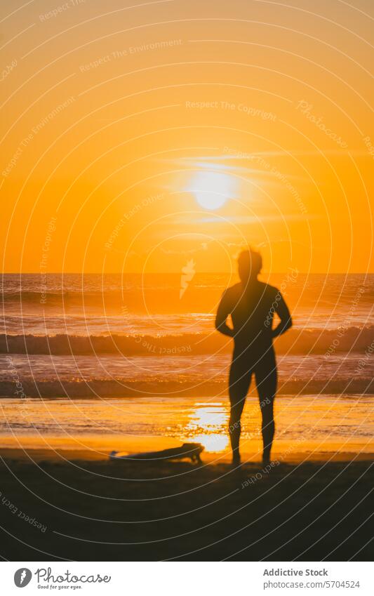 Anonymous of male surfer standing on beach with surfboard at sunset man sea silhouette water wave nature sand shore ocean coast sundown harmony hobby idyllic
