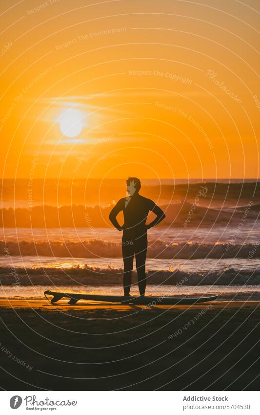 Male surfer with his hands on his hips standing on beach with surfboard at sunset man sea silhouette water wave nature sand shore ocean coast male sundown