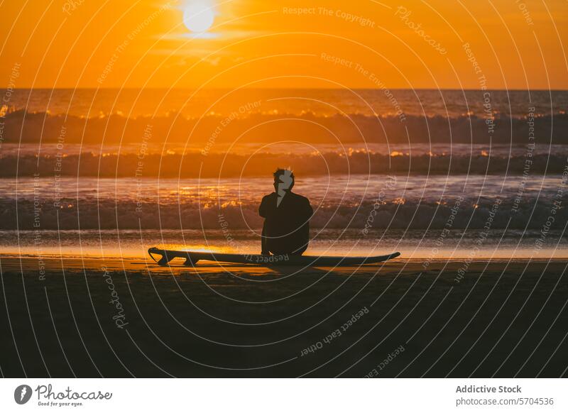 Silhouette of unrecognizable surfer sitting on surfboard at sunset by ocean man sea beach seashore sport silhouette sundown activity nature water summer male