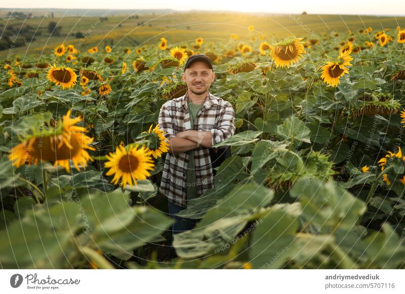 Successful confident farmer with crossed hands stands in blooming sunflower field, looks at camera. Agronomist at agricultural plantation. Agribusiness, seed and oil organic production, harvesting