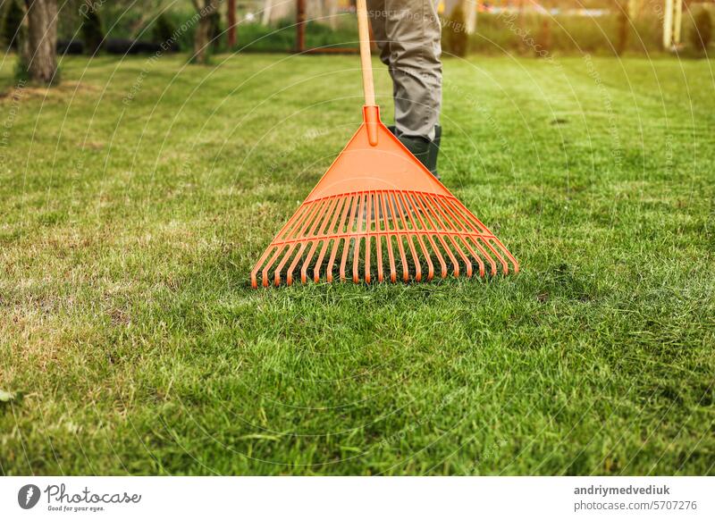 Male gardener collects cut grass with orange plastic rake after a mower, works in the backyard of the house. Man takes care of lawn. Concept of housework, gardening and country life, garden tools.