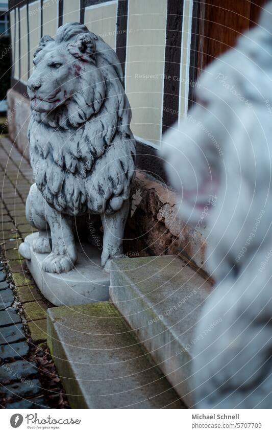 Guard lions Lion Lion's mane watch Watchdog Statues Stone statue Animal Colour photo Wild animal Animal portrait Animal face Pelt Looking Dangerous