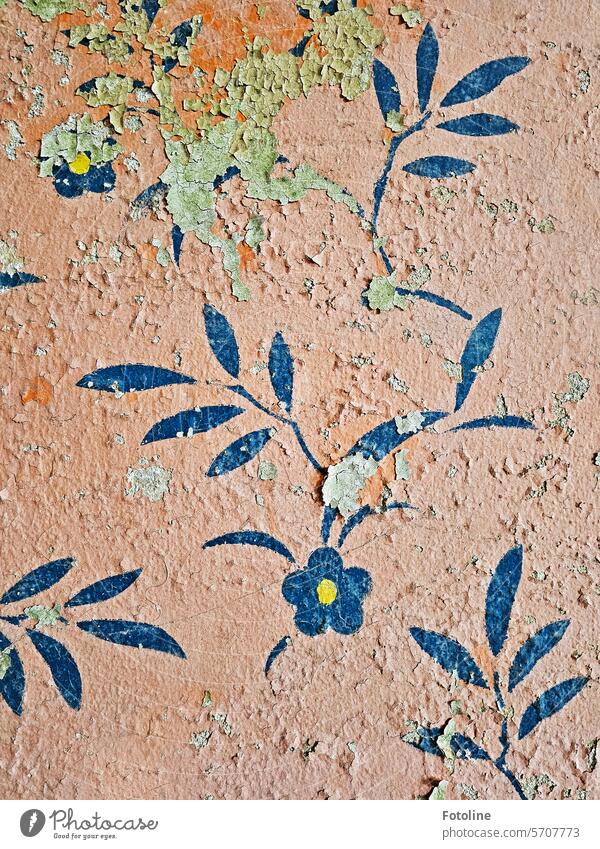 In a lost place, the paint on the wall is crumbling. But the old floral pattern is still clearly visible. lost places Old Transience Change Derelict Decline