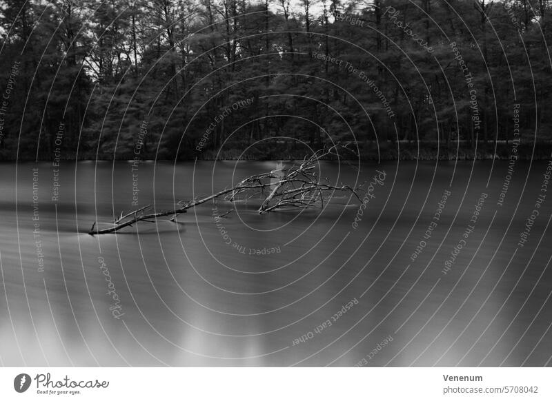 Analog black and white photography. Long exposure at Gottower See in the district of Teltow Fläming abstract art abstract photography Abstract blurred