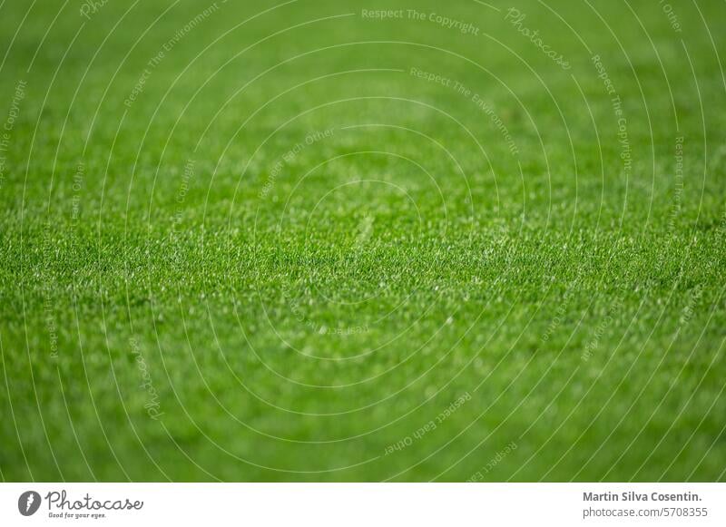 Natural grass of football field with blur arena authentic background bright champion championship city club competition copy space court empty event fan