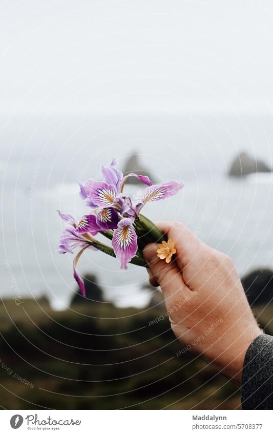 Holding wildflowers Aesthetically pleasing image with The Pacific Ocean in the background Moody bouquet floral arrangement herbal natural nature plant spring