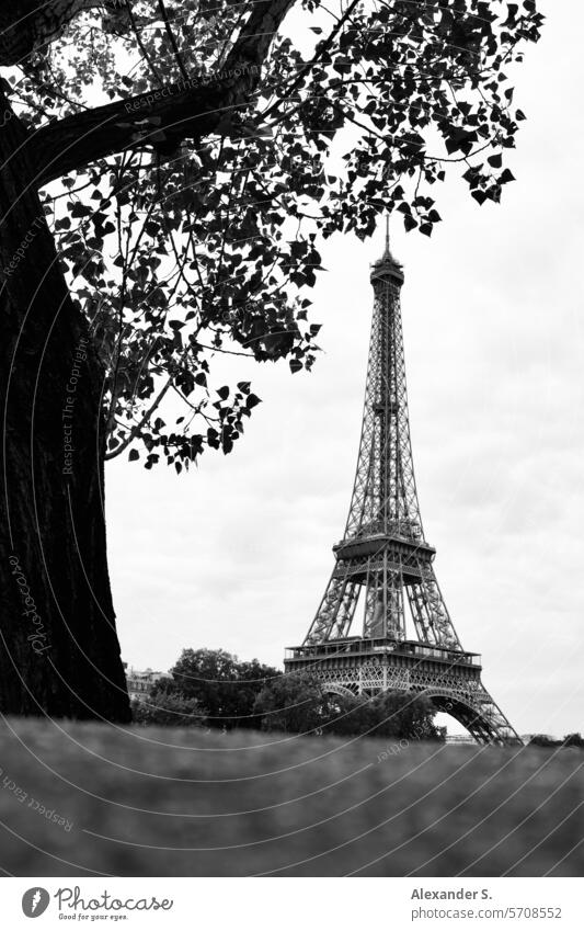 View of the Eiffel Tower from under a tree eiffel tower Paris France Tour Eiffel Monument Landmark Tourism cityscape French Europe travel view City symbol