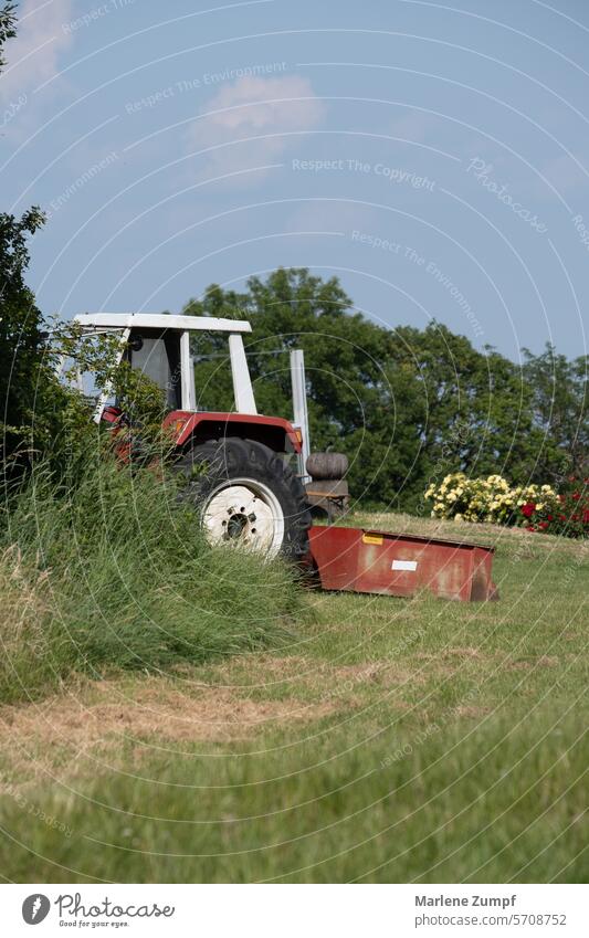 Red tractor in field Tractor Field Meadow Grass Agriculture Farm Nature agriculturally Arable land Summer Landscape Rural Machinery country Spring Outdoors