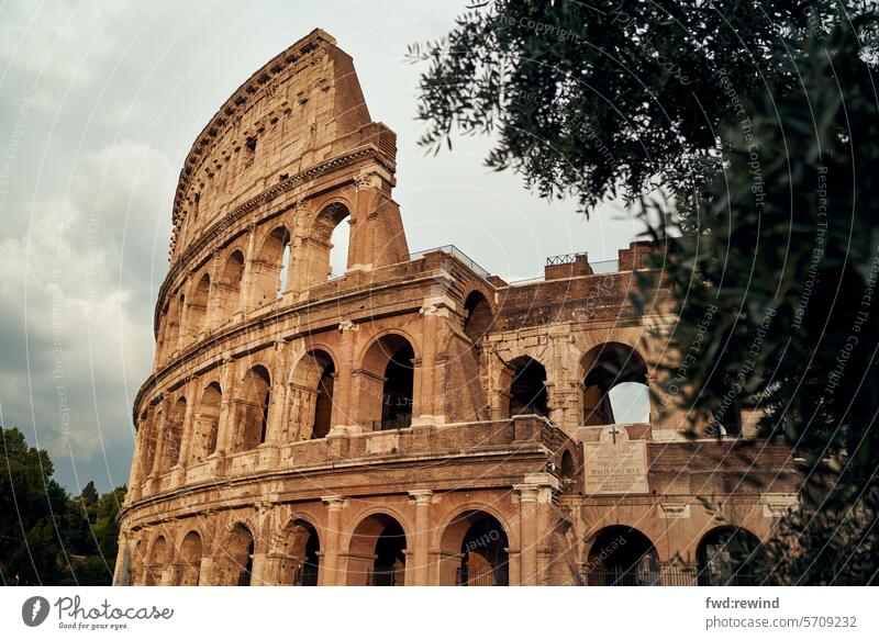 Colosseum of Rome Architecture Historic Ancient Tourism Monument Vacation & Travel Culture Landmark Building Italy Roman Europe famous Italian Column Facade