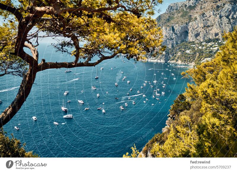 Bay of Capri Amalfi Coast Tourism vacation Vacation & Travel Italy coast Summer Landscape Summer vacation Ocean Panorama (View) Mediterranean coastal town