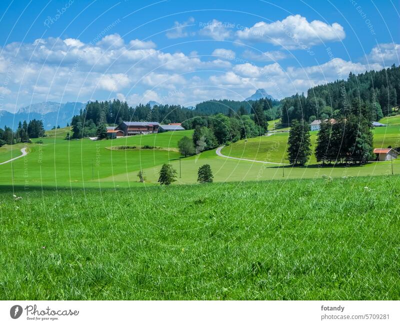 Bavarian foothills of the Alps in summer Landschaft Bayern Deutschland Berg Wiesen Wege Hügellandschaft bayerisch Allgäu sonnig Feld idyllisch Reisen blau