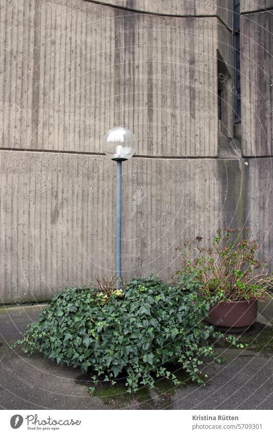 brutalist corner with lantern and planting Lantern streetlamp Lamp street lamp Concrete exposed concrete Concrete wall Facade plant tubs Ivy shrub Building