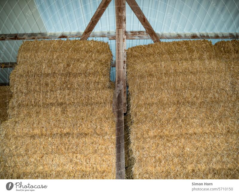 Straw bales under a corrugated iron roof, supply Supply Bale of straw under wraps Harvest Agriculture storage piled up about each other stacked