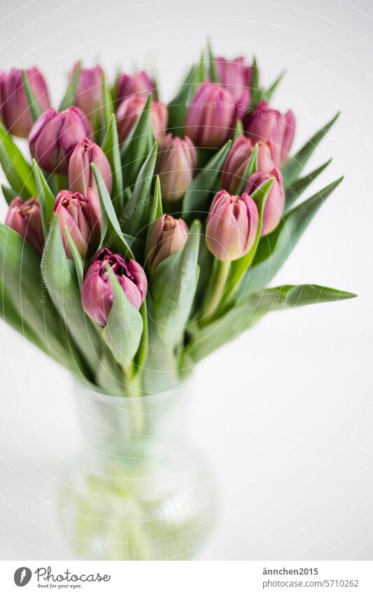 Bouquet of tulips with purple tulips in a glass vase photographed from diagonally above Tulip attention Gift women's day Mother's Day Plant flowers Colour photo