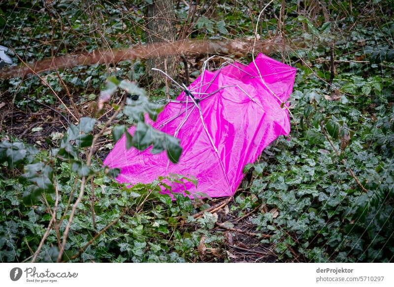 Pink umbrella in the green Environmental pollution waste Garbage dump Waste management Trash Channel real estate dwell Deep depth of field Urbanization