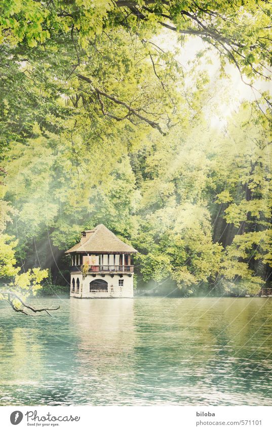 Boathouse at Lake Thun Environment Nature Plant Water Lakeside Brown Yellow Green Summer vacation Summery Exterior shot Deserted Copy Space bottom Day Sunlight