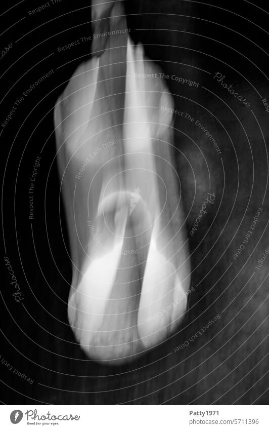 Swan in abstract motion blurred ICM technique ICM technology Abstract Bird Mysterious Dark somber abstract photography blurriness hazy Low-key
