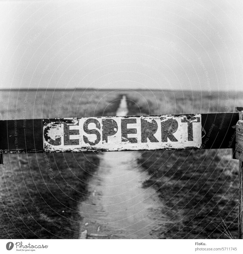 Locked lettering in nature reserve North Sea coast analogue photography Stockenstieg Westerhever Nature reserve Barred Analog Scan Landscape Deserted