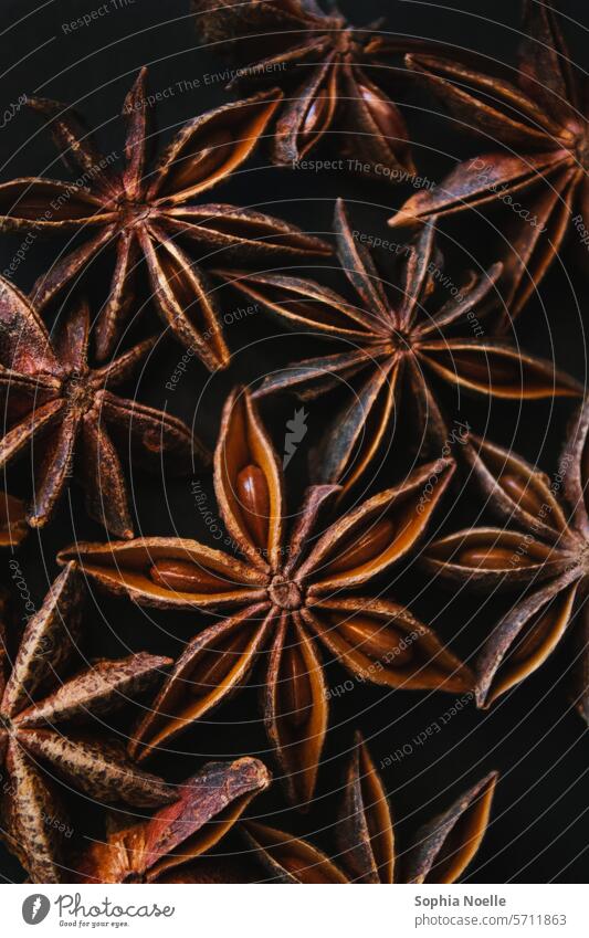 Macro Star Anise Macro (Extreme close-up) macro star anise Star aniseed spice spices Christmas & Advent Herbs and spices Close-up Star (Symbol) Brown Nutrition