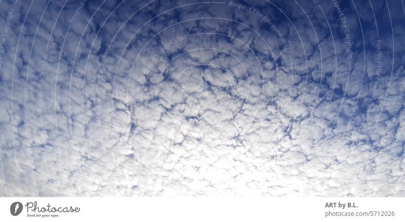 cirrocumulus Sheep Clouds Sky Clouds in the sky cloud formation cloud landscape Weather cloud shape