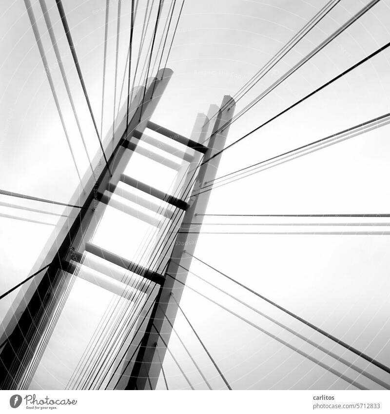 Rügen Bridge | Trembler version V Wire cable Pylon bridge of reprimands Perspective Back-light Sky Manmade structures Architecture Traffic infrastructure