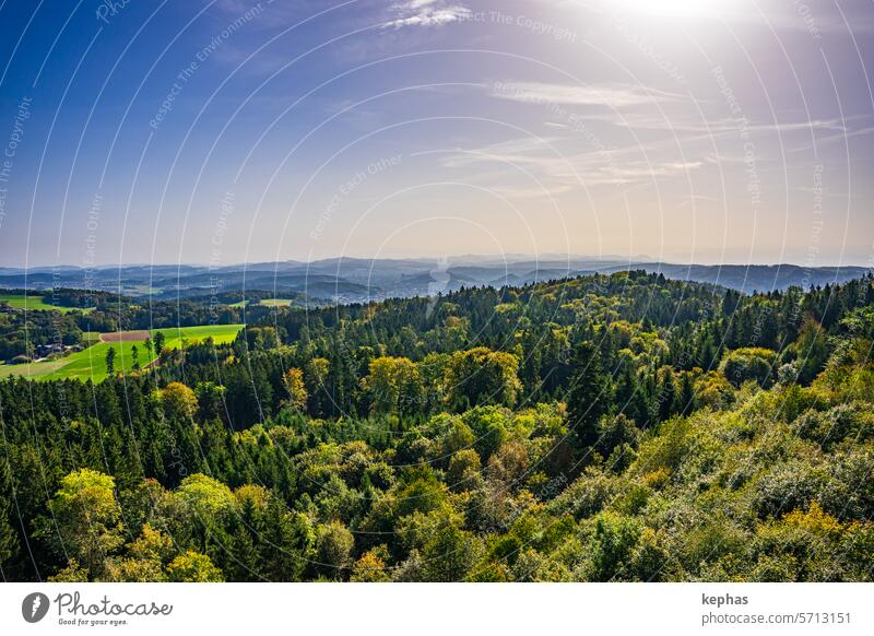 Hilly landscape with forests under a sunny sky Forest Landscape Sun Nature Vantage point Idyll Sunlight far vision Panorama (View) Switzerland Canton Zürich Sky