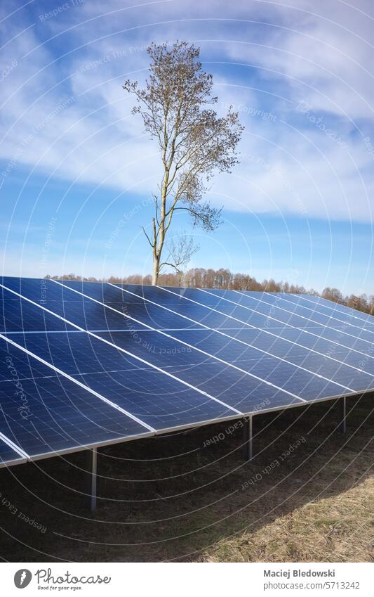 Photovoltaic modules in a rural setting on a sunny day, selective focus. solar panel PV photovoltaic green energy solar cell panel RES sky renewable environment