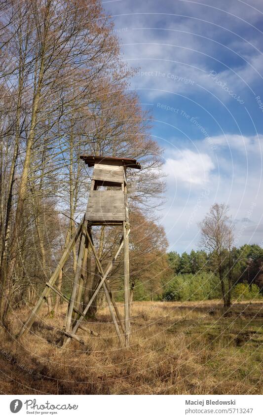 Photo of an elevated deer hunting blind by the woods. forest nature hunting tower deer stand raised hide outdoor tree landscape wooden season view scenery