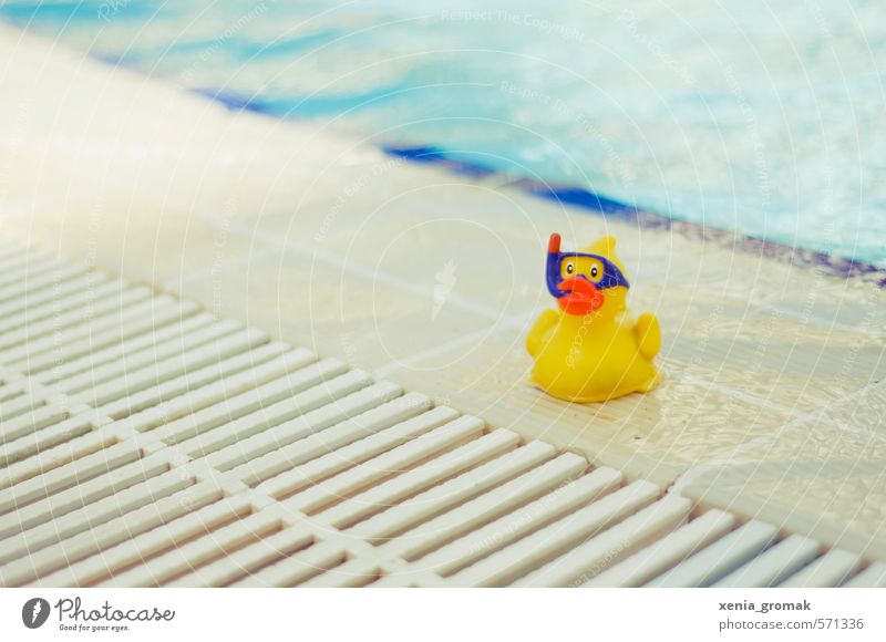 duck Wellness Swimming & Bathing Leisure and hobbies Playing Vacation & Travel Tourism Trip Adventure Freedom Summer Summer vacation Sun Sunbathing Beach