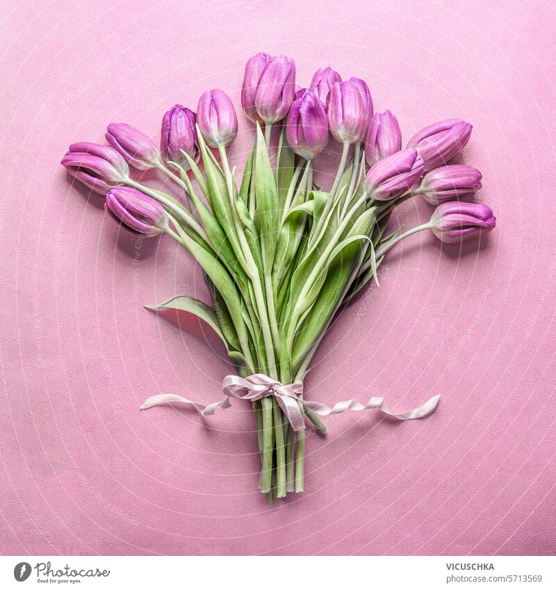 Beautiful purple tulip flowers bunch with ribbon on pink background, top view. beautiful tulips floral object romantic holiday bloom bouquet flat lay above