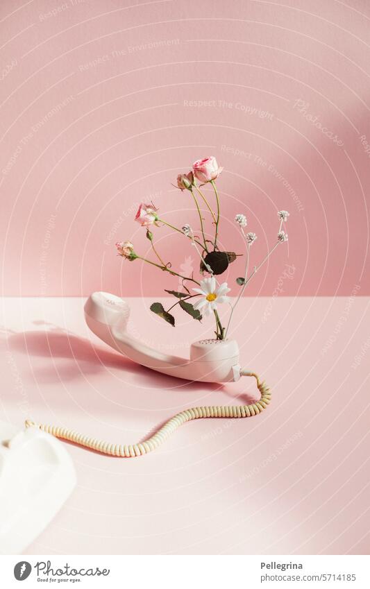 Good News Telephone flowers pink News & Events call news floral Blossoming blossom roses marguerites Cable Retro Oldschool say hello call again
