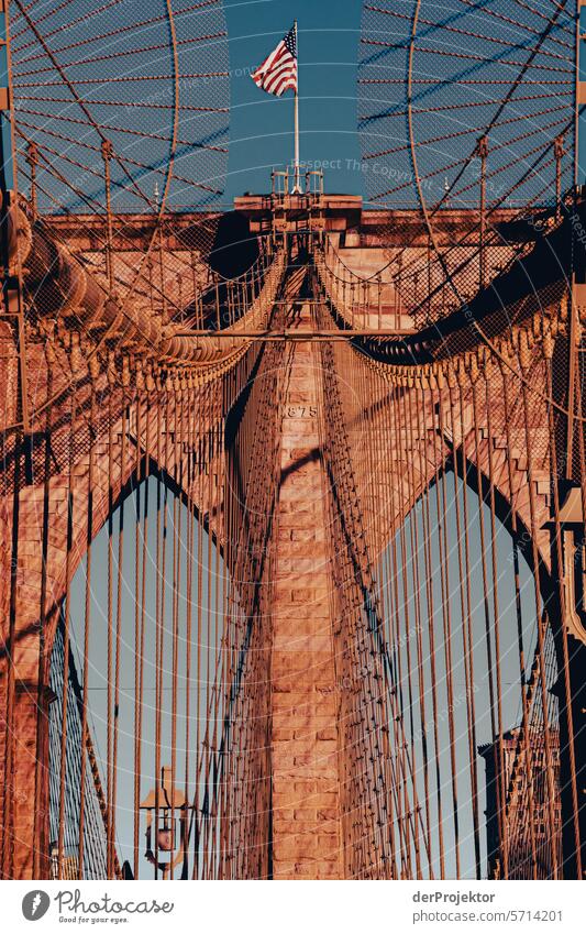 Brooklyn Bridge in the morning I Central perspective Deep depth of field Sunbeam Sunlight Light (Natural Phenomenon) Reflection Shadow Contrast