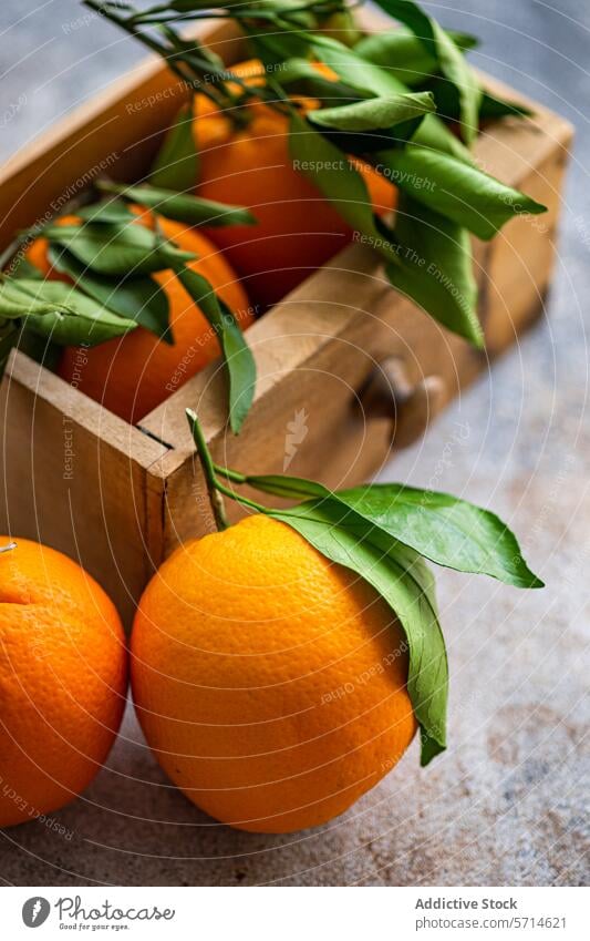 Ripe oranges with fresh green leaves attached are displayed, some resting on a textured surface and others nestled in a wooden crate, evoking a sense of fresh harvest