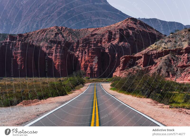 A curving road meanders through the deep red canyons of Los Castillos, contrasting with vibrant green shrubbery under the expansive blue sky curve desert