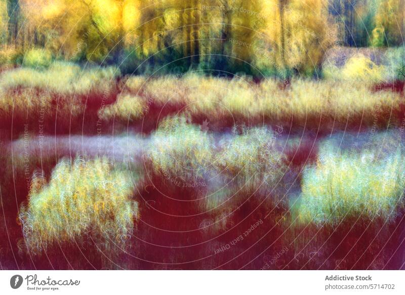 Abstract autumnal landscape with pictorialism effect abstract art blur vibrant color impressionism seasonal artistic trees leaves fall painting texture warm