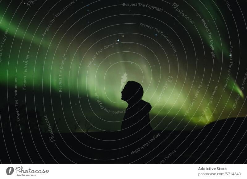 Silhouette of a man under the Northern Lights in Iceland silhouette aurora borealis northern lights iceland night sky awe wonder icelandic dark celestial