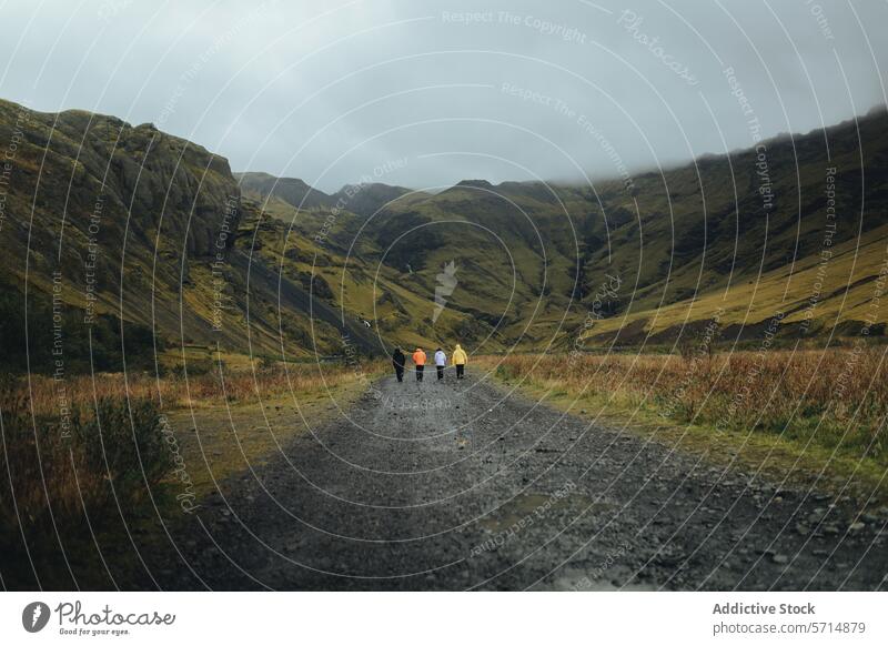 Anonymous group trekking on an Icelandic mountain path iceland adventure travel people walking road scenic landscape nature overcast sky outdoor exploration