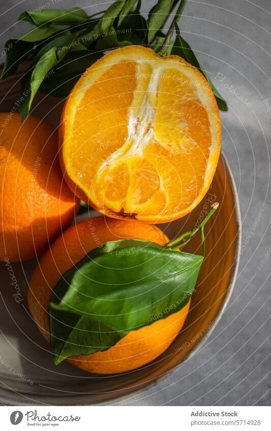 Fresh oranges with leaves on a sunny day citrus fruit leaf green bowl sunlight fresh natural bright ripe juicy half sliced shadow healthy vitamin c zest