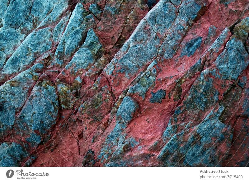 Iron-rich biofilm bacteria on rocks at Llumeres beach, Asturias texture red gray iron llumeres asturias proliferation iron-rich vibrant surface natural