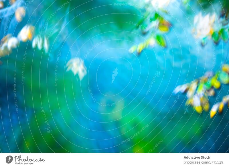 Abstract soft-focus image of foliage with a cool blue and green color palette, creating a pictorialist effect near a riverbank abstract art fine art nature