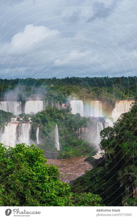 Scenic view of Iguazu Waterfalls amidst lush greenery iguazu waterfall cascade brazil southern brazil nature rainforest majestic powerful beauty ecosystem