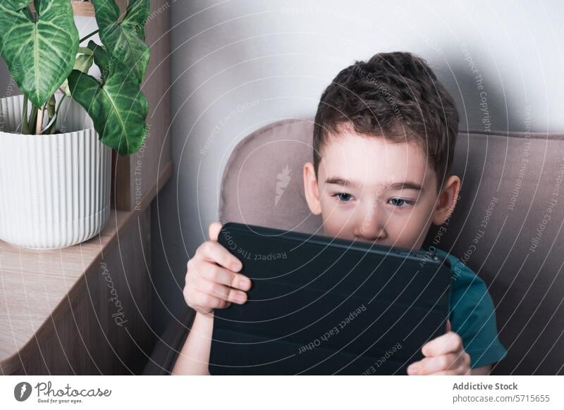 Young child engrossed in tablet technology at home digital modern youth absorbed engagement gadget comfort sitting couch leisure screen electronic kid boy
