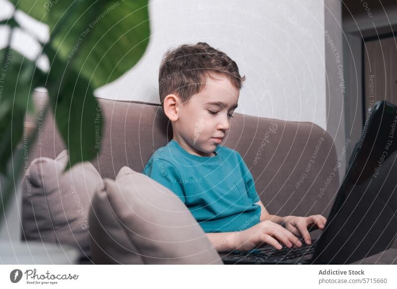 Young boy engrossed in using a laptop at home child technology modern young digital literacy early learning education internet focused interaction screen