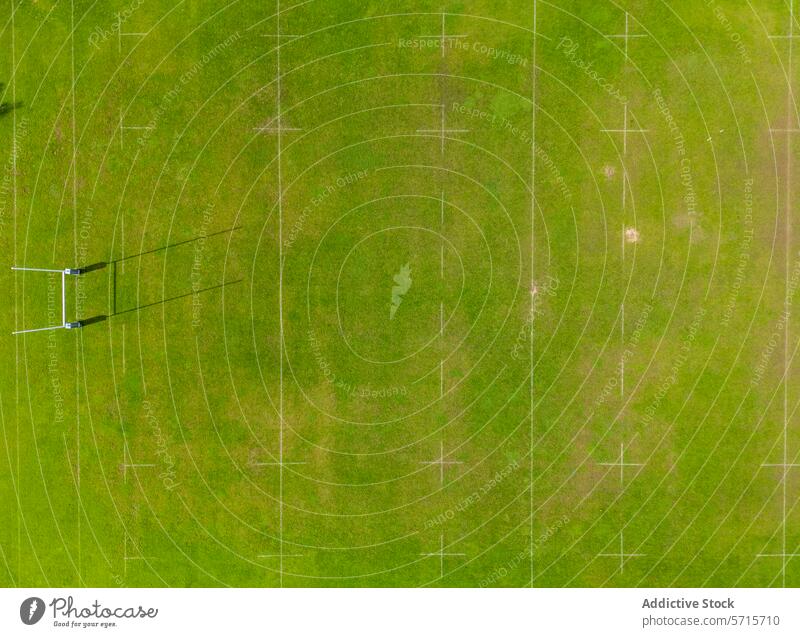 Aerial view of a green sports field with white markings aerial drone grass lines outdoor texture pattern ground high angle aerial photography top view