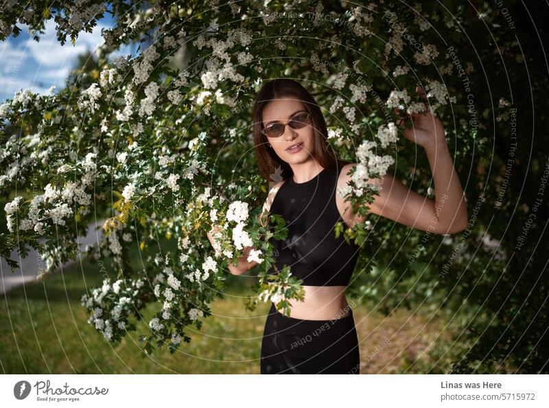 The weather is perfect outside, with all these white blossoms and the scent of spring in the air. A gorgeous brunette girl with shades is comfortably nestled among the flowers. This model test is going with ease.