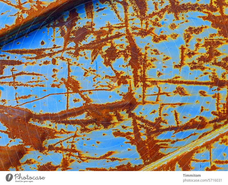 Close to completion Container Metal Scratch mark Rust Rust marks rust Blue Detail lines Trashy Ravages of time Tracks Abstract Colour photo Deserted