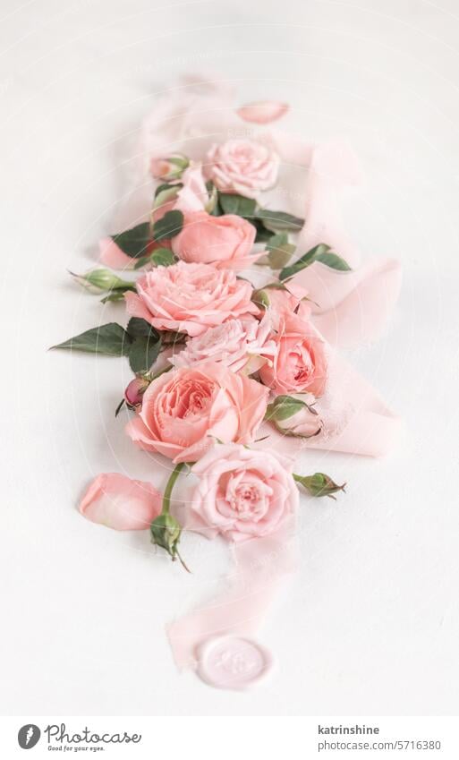 Light pink roses, petals and buds, green leaves and silk ribbons close up on white flowers romantic pastel valentine spring love Nobody no people WEDDING Floral